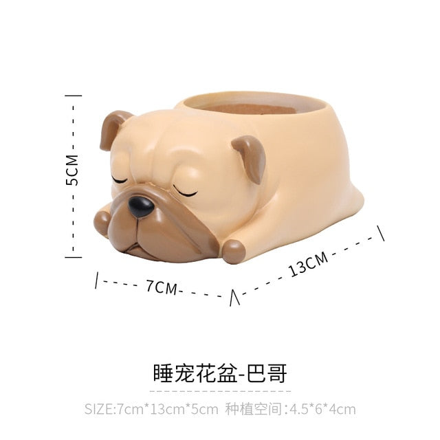 Beautiful Girls Mini Bonsai and Succulent Planter Pot - 1 Pcs