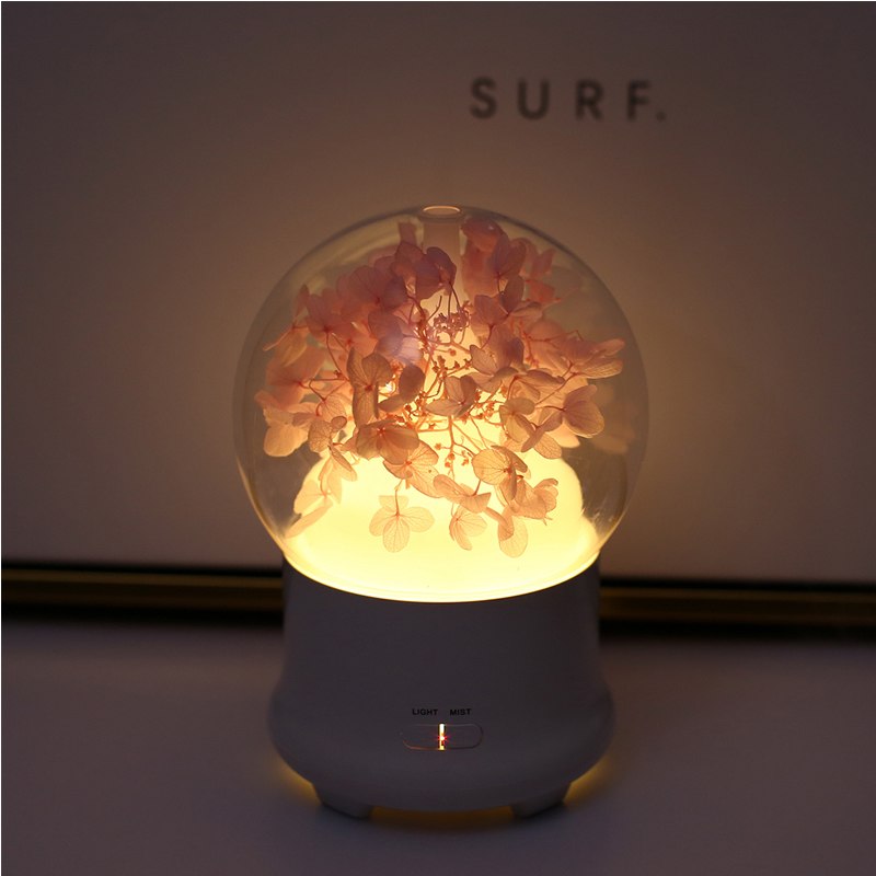 100ml Ultrasonic Cool Mist Humidifier