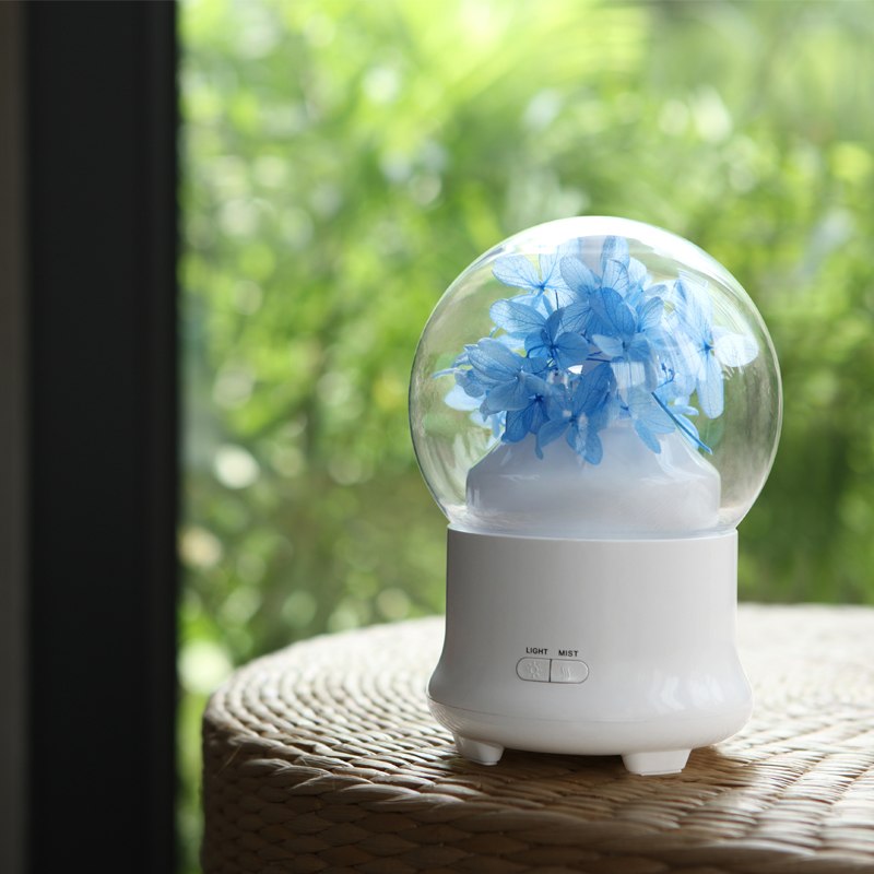 100ml Ultrasonic Cool Mist Humidifier