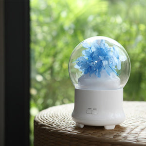 100ml Ultrasonic Cool Mist Humidifier
